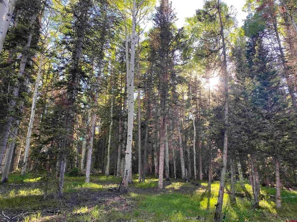 700 Hazel Lake Drive, Cimarron, CO 81220