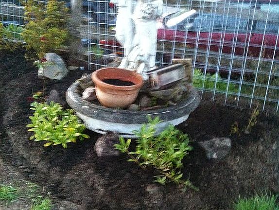 front rose garden