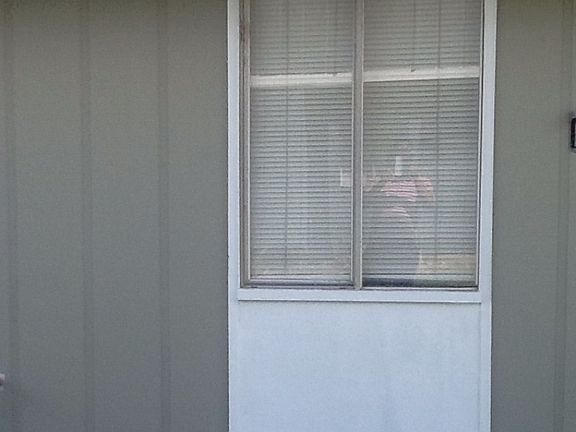 3rd image of 10 Tulip Ln