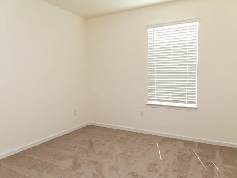 3779 Wyatt Way — Photo 11