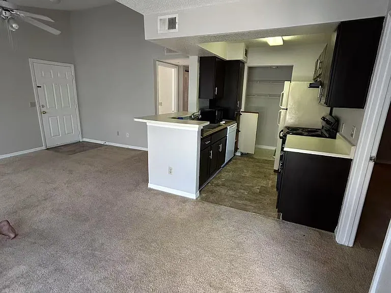 1029 S Hiawassee Rd #2424 — Photo 5