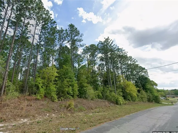 9562 N Travis Dr, Citrus Springs, FL 34434