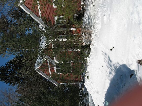 Winter Wonderland
