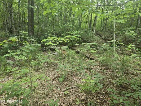 Prospect Rd, Sneedville, TN 37869