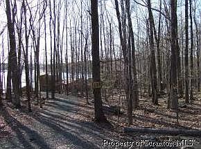 4th image of 27 E Shore Dr