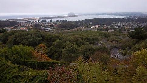 5th image of 288 Travis Dr