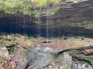 677 Grant Rd, Clinton, AR 72031