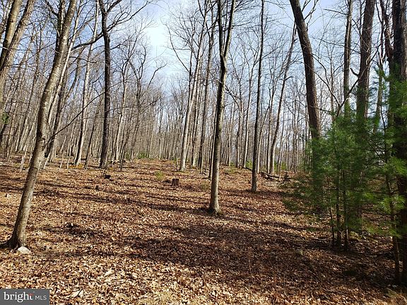 2nd image of 114 Baughman Settletment Acres