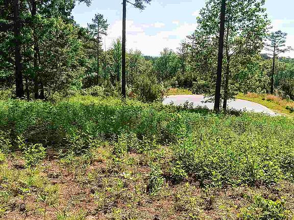 3rd image of 23 Tee Box Ln