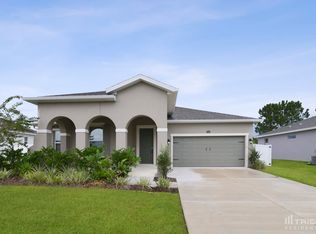 37121 Scenic Bluff Dr, Grand Island, FL 32735