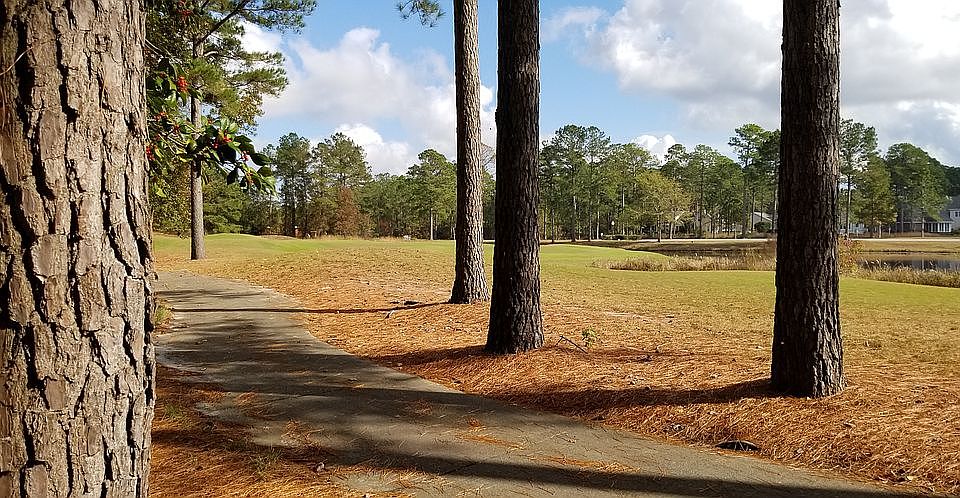 Overlooking Green