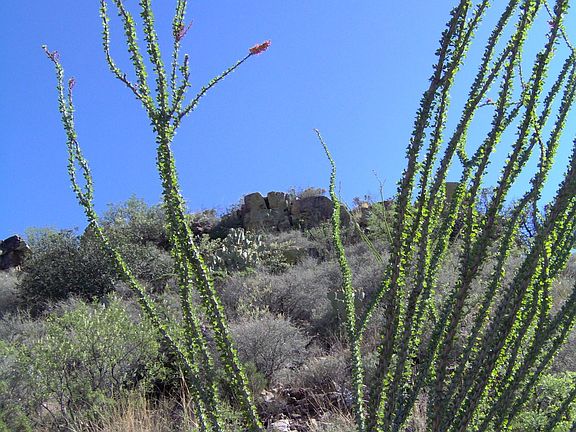 2nd image of 4082 S Mule Mountain Dr