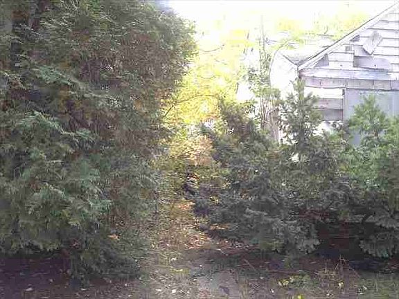 12491 Waltham