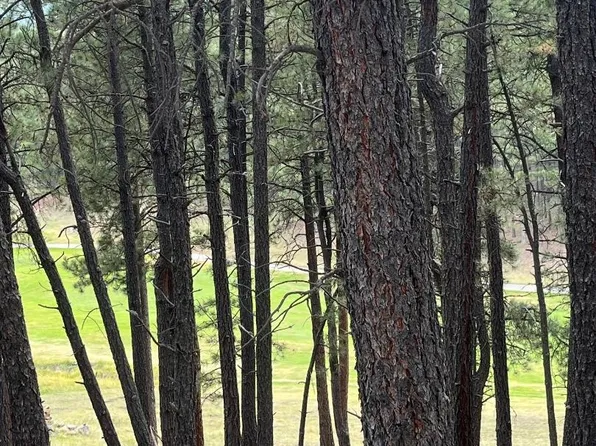 55 Champions Terrace, Angel Fire, NM 87710-00