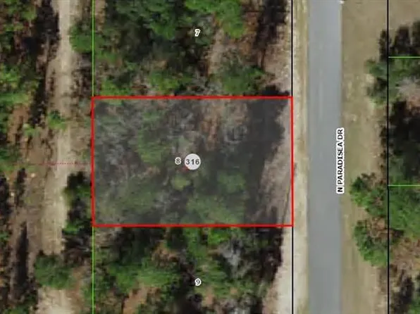 9120 N Paradisea Dr Lot 8, Dunnellon, FL 34433