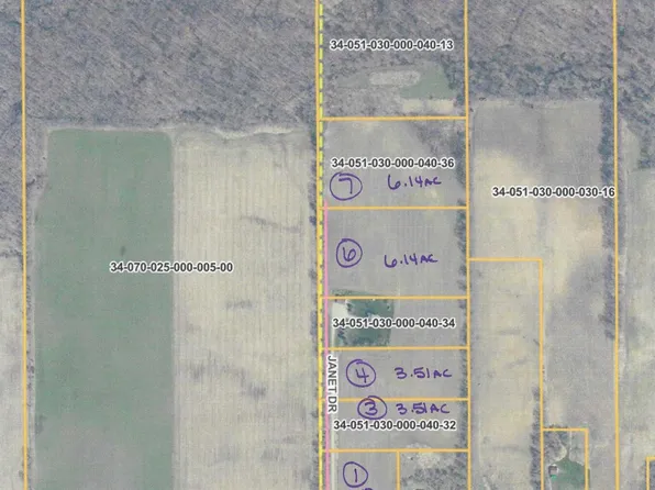 Janet Dr Parcel 7, Saranac, MI 48881