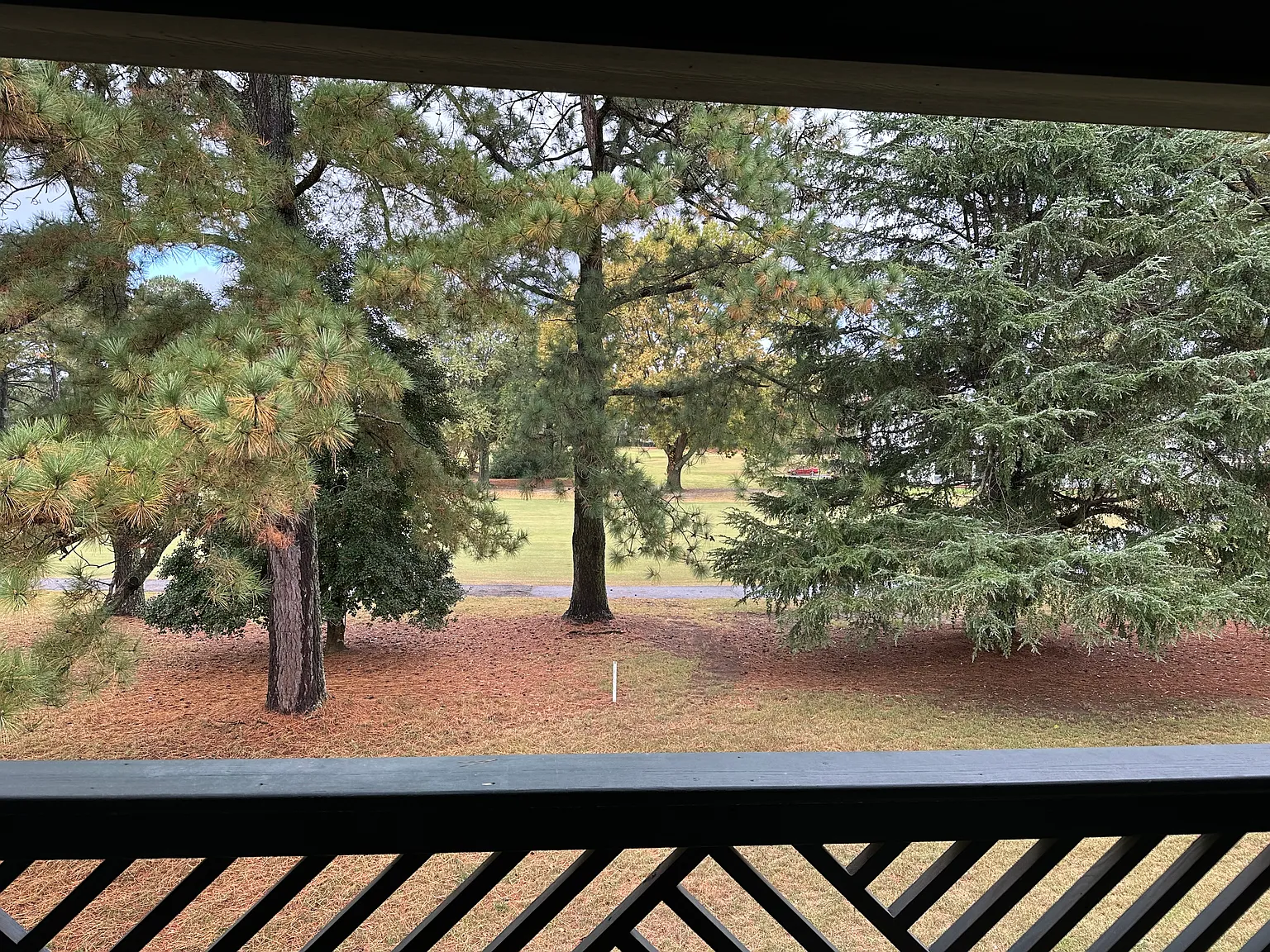 1 bed, 817 sqft, $2,000 — Photo 2