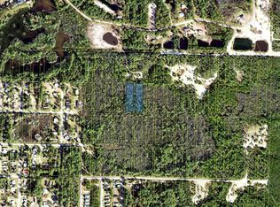 20-07S-04W-4212- Inaccessible Rd, Carrabelle, FL 32322