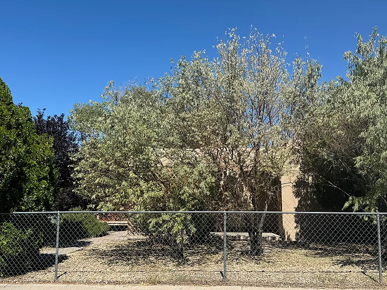 Thaxton Ave SE — Photo 1