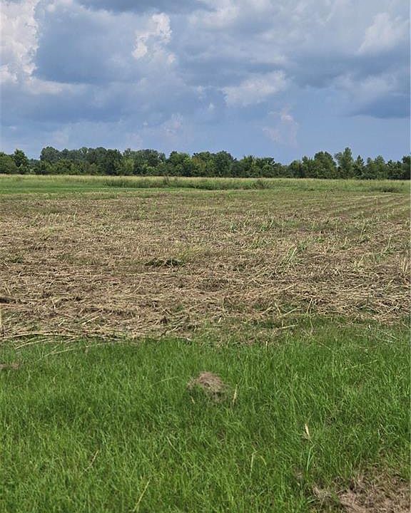 2nd image of 1209 Hampton Rd Lot 34