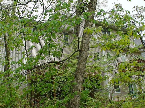 the rear view of the home shows the two decks and patio off lower level