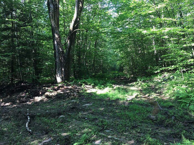 3rd image of 173 TACONIC LAKE Road