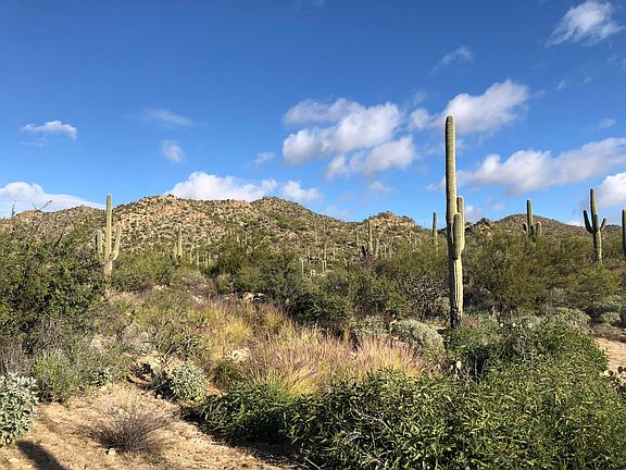 2nd image of 14020 N Gecko Canyon Trl