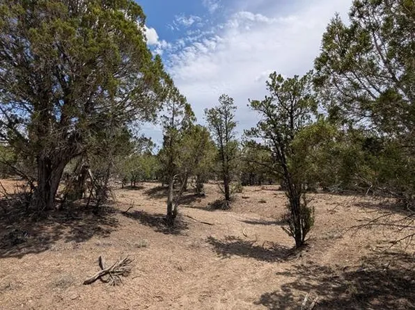 160 Cedar Drive, Pagosa Springs, CO 81147