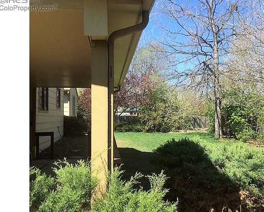 Spacious Yard