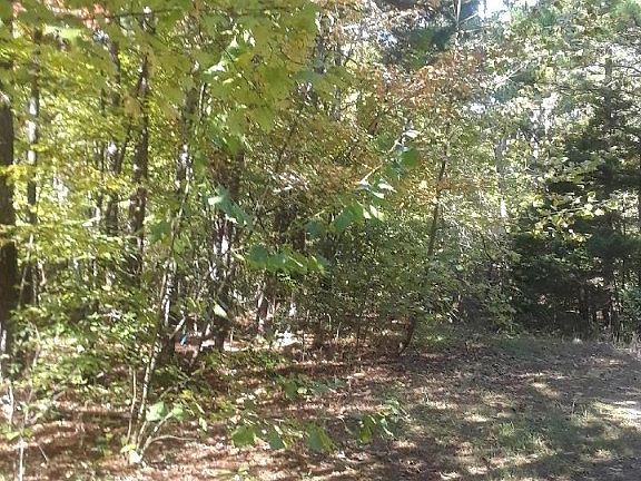 3rd image of LOT 12 Crayke Ln