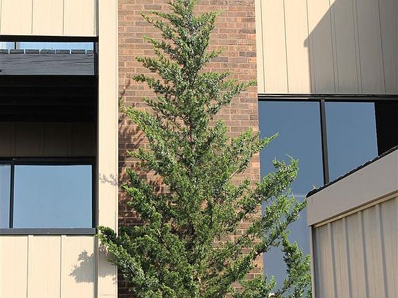 3rd image of 7127 N Terra Vista Dr #4102