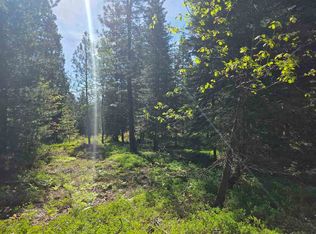 LOT 65 Old Mill Rd, McCloud, CA 96057