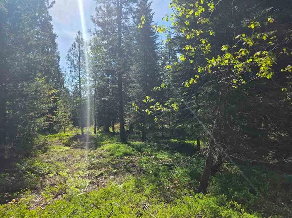 LOT 65 Old Mill Rd, McCloud, CA 96057