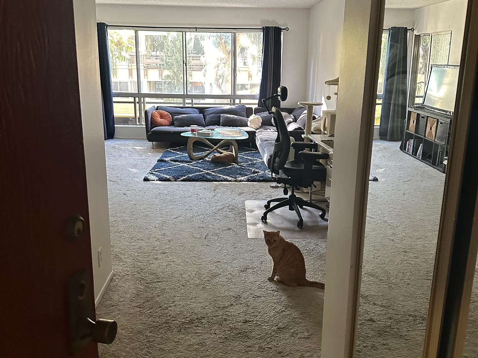 1 bed, 807 sqft, $3,200 — Photo 2