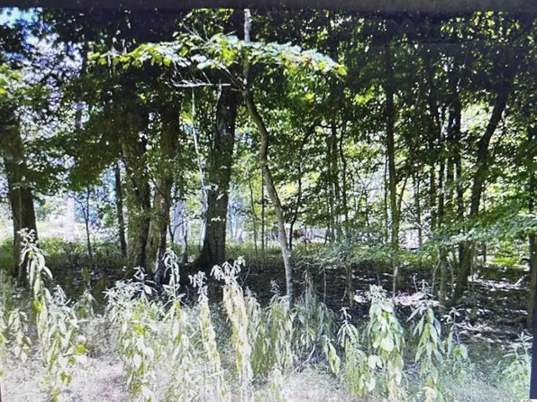 LOT 28 Randy Dr, Cadiz, KY 42211