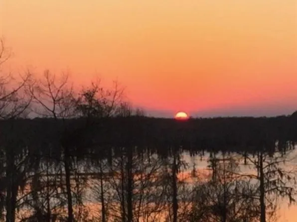 0 Benjamin Point Rd, Goldonna, LA 71031