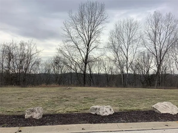 387 Merlot Ln, Saint Albans, MO 63073