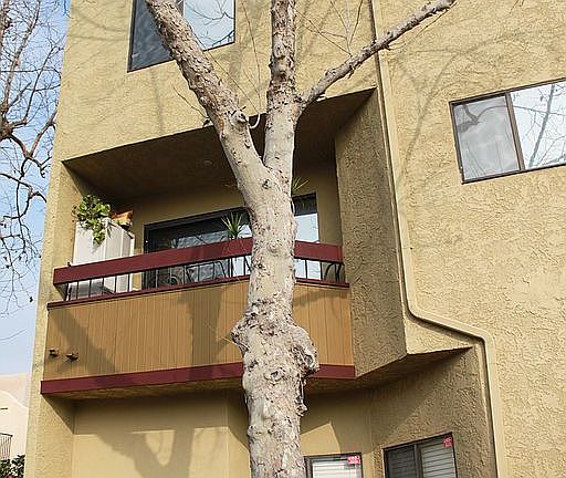 4th image of 1012 S Marengo Ave Unit 3