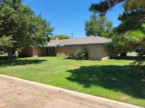 607 Daffodil St, White Deer, TX 79097