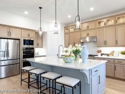 16813 Purpurea Rd, Justin, TX, 76247