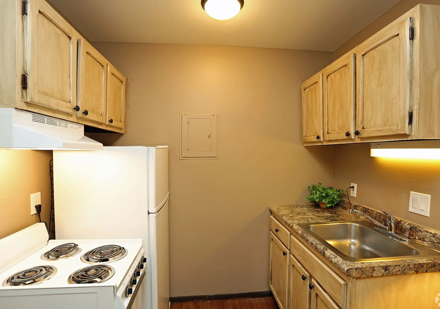 Allen House Apartments — Photo 3