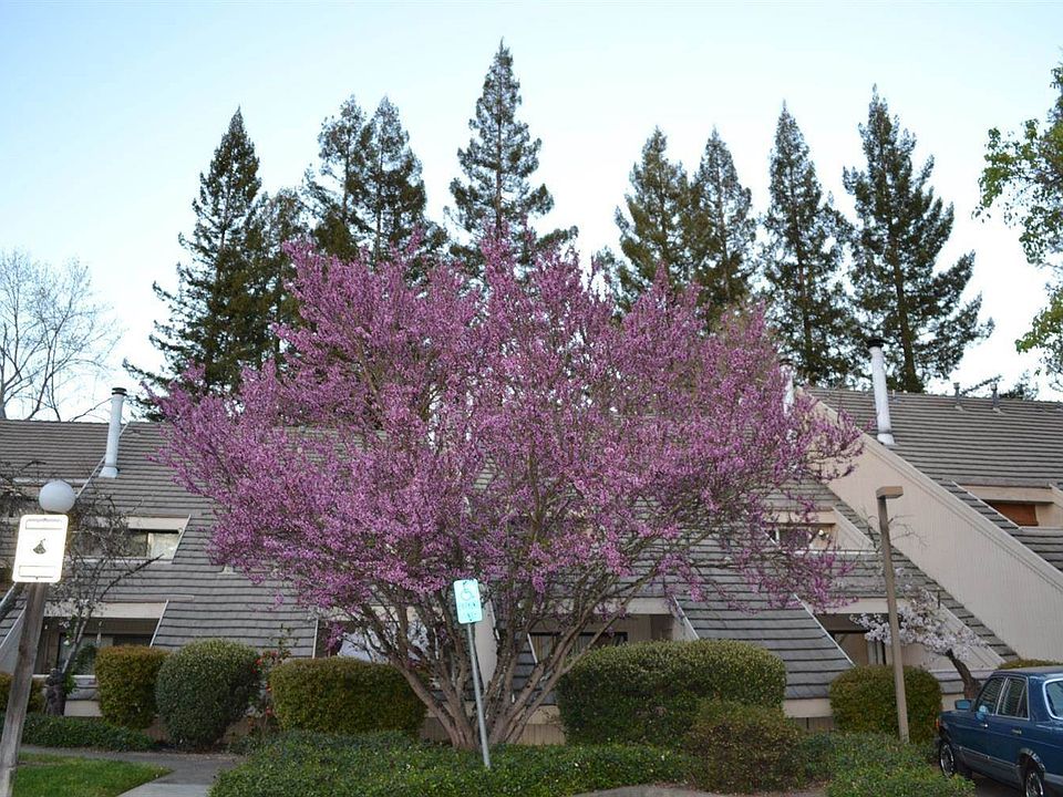 2nd image of 1536 Mission Blvd