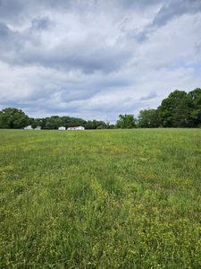 0 County Road 800, Flat Rock, AL, 35966