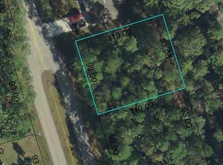 73 Seattle Trl, Palm Coast, FL 32164