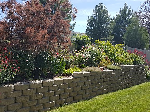 Backyard wall and garden