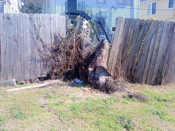 4th image of 3401 Delachaise St