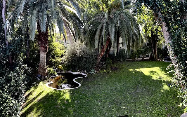 Front fish pond / yard