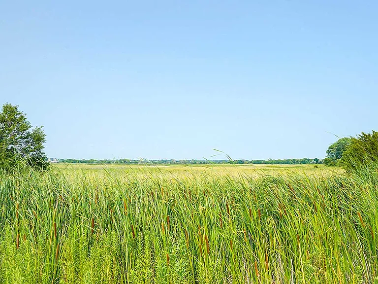 Our neighboring wetlands offer nature at your doorstep.