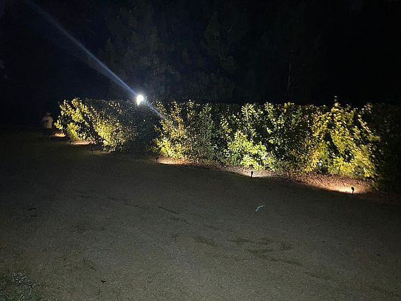 3rd image of 3814 Sunrise Blvd