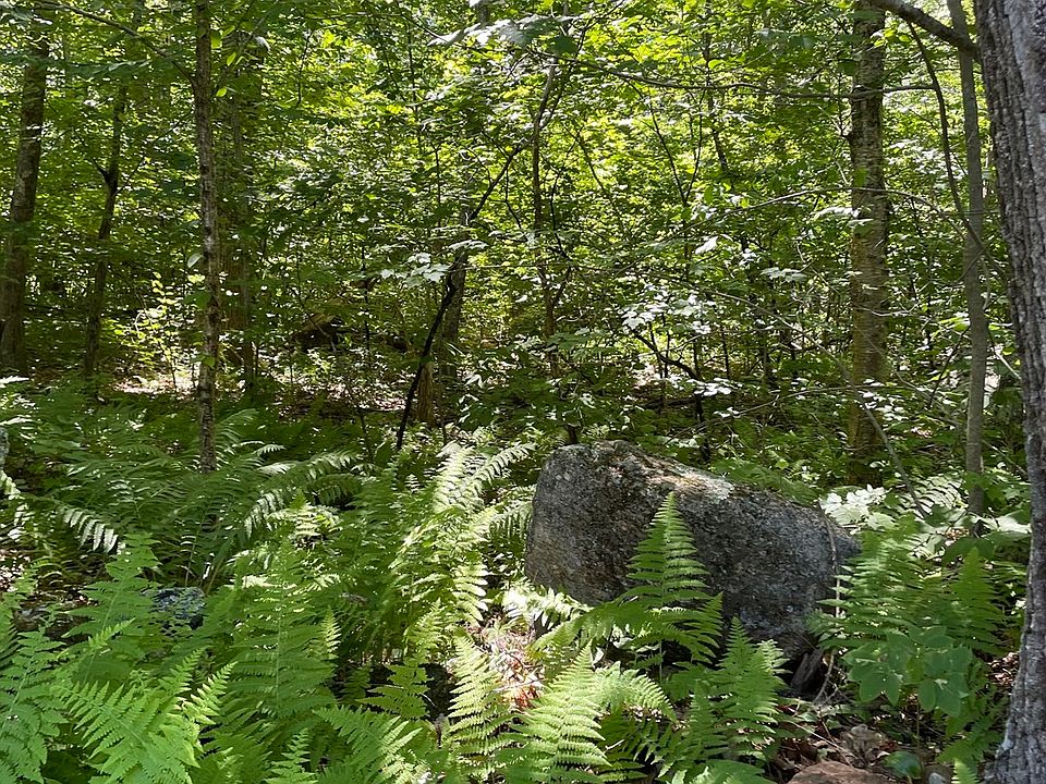 2nd image of 44 Mount Hitchcock Rd